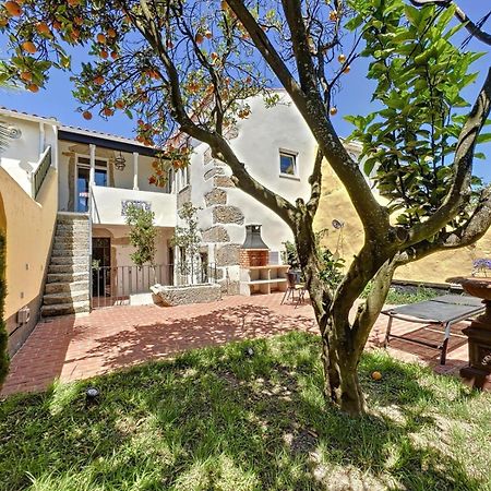 Villa Victoria Caminha Exteriér fotografie